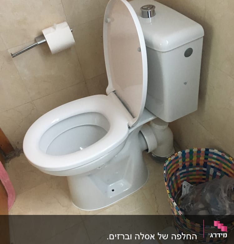 אסלה עם מכסה פתוח ונייר טואלט על הקיר